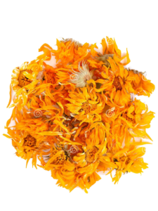 Dry Calendula
