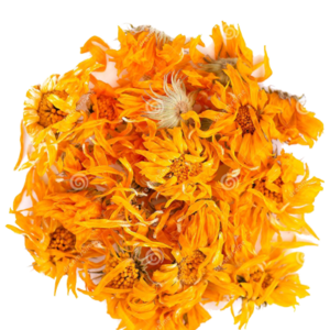 Dry Calendula