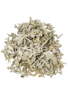 Sage Leaves
