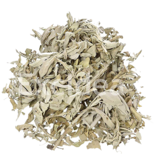 Sage Leaves