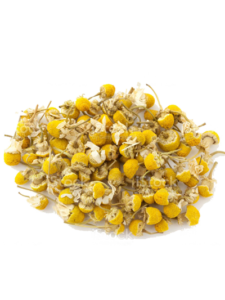 Chamomile