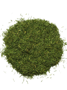 Dill
