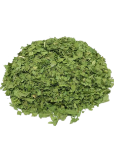 Coriander