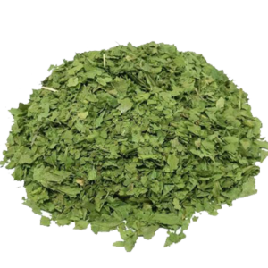 Coriander