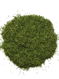 Dill