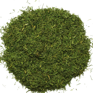 Dill