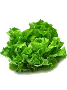 Lettuce