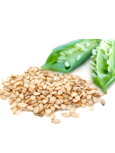 Sesame Seeds
